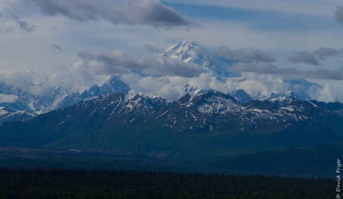 Denali State Park 2018-29
