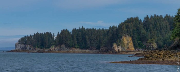 Homer Alaska 2018-108