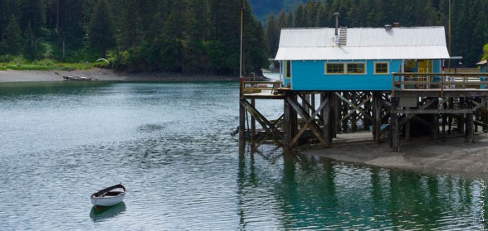 Homer Alaska 2018-172