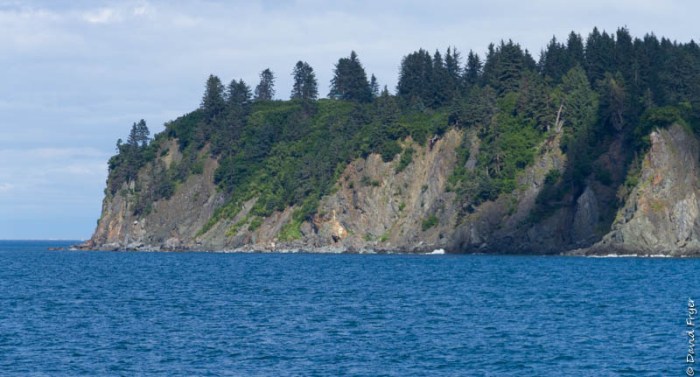 Homer Alaska 2018-194