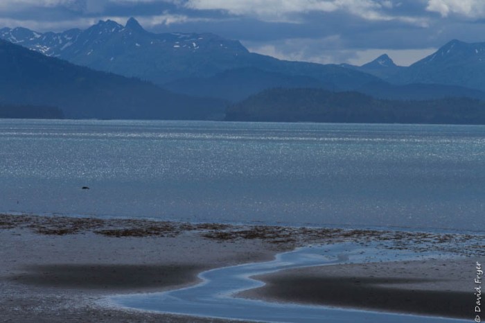 Homer Alaska 2018-233