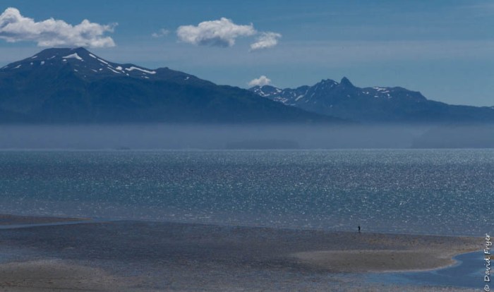 Homer Alaska 2018-259