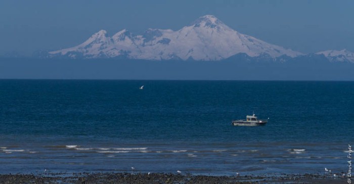 Homer Alaska 2018-318