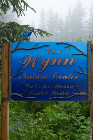 Homer Alaska 2018-43