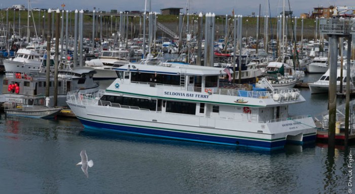 Homer Alaska 2018-68