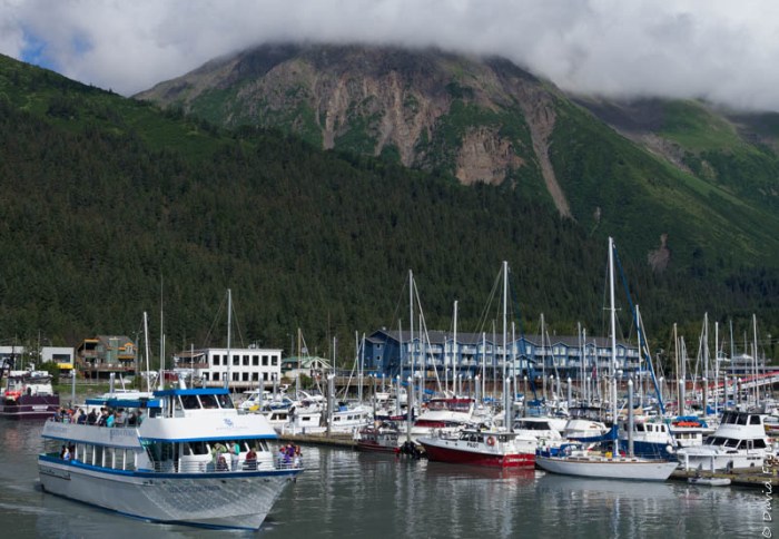 Seward Kenai Fjords Alaska 2018-236
