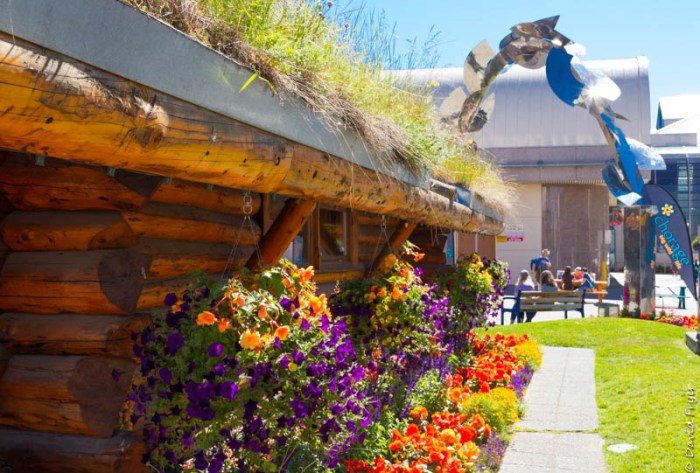 Wasilla Palmer Anchorage AK 2018-23