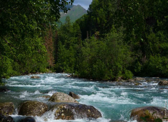 Wasilla Palmer Anchorage AK 2018-39