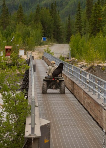 McCarthy Road Kennicott AK 2018-29