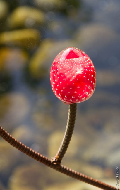 Skagway AK 2018-25-2