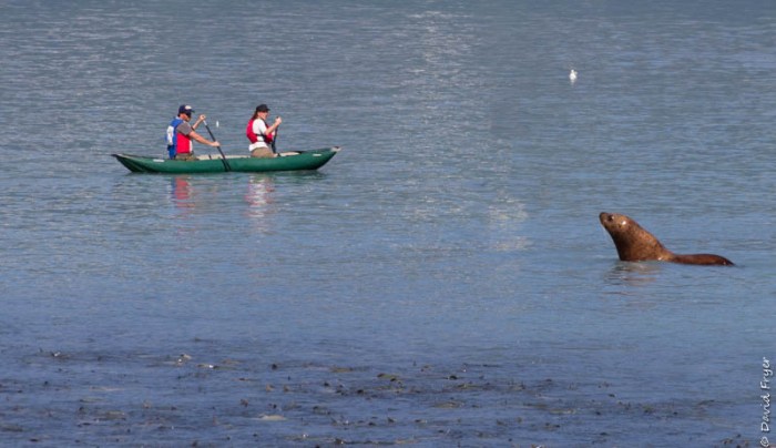 Valdez AK 2018-27-2-2