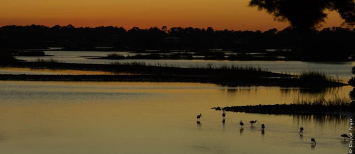Cedar Key FL 2018-149