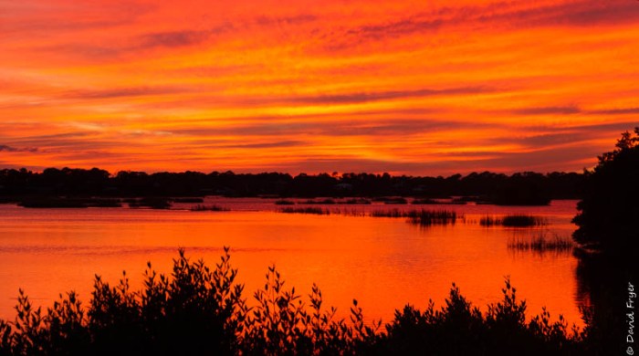 Cedar Key FL 2018-19