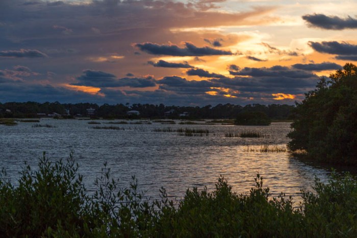Cedar Key FL 2018-266