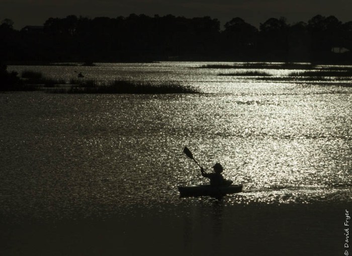 Cedar Key FL 2018-35