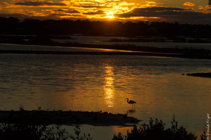 Cedar Key FL 2018-43-2
