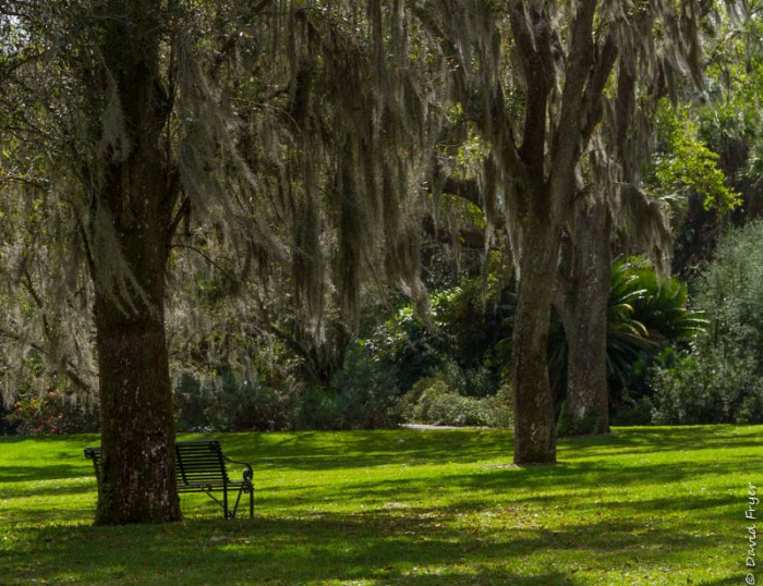 Bok Tower and Gardens FL-31