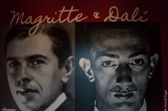 St Pete FL February 2019-22