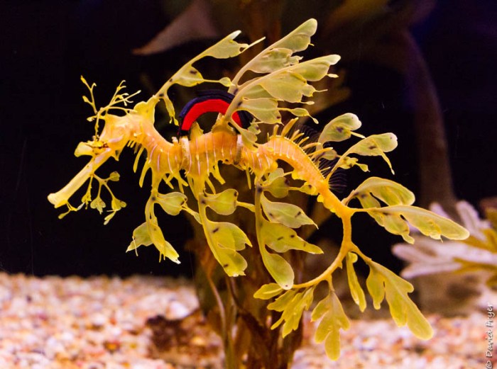 Tampa FL March 2019-106