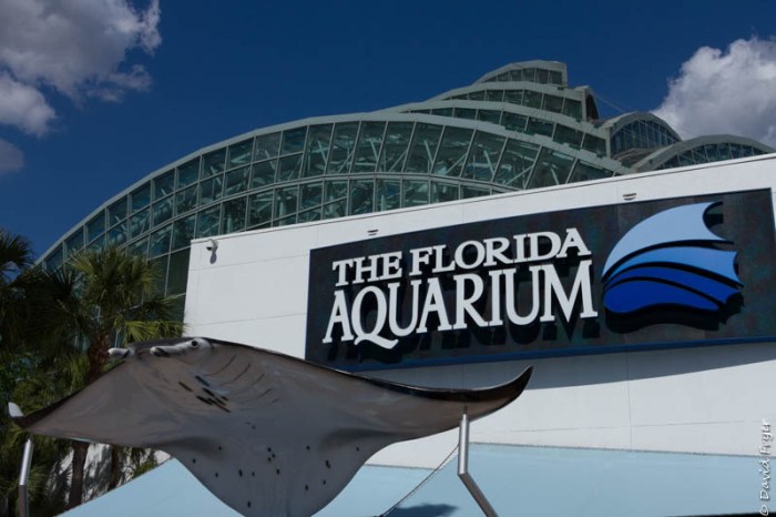 Tampa FL March 2019-133