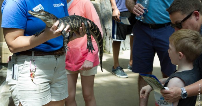 Tampa FL March 2019-32