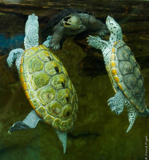 Tampa FL March 2019-70