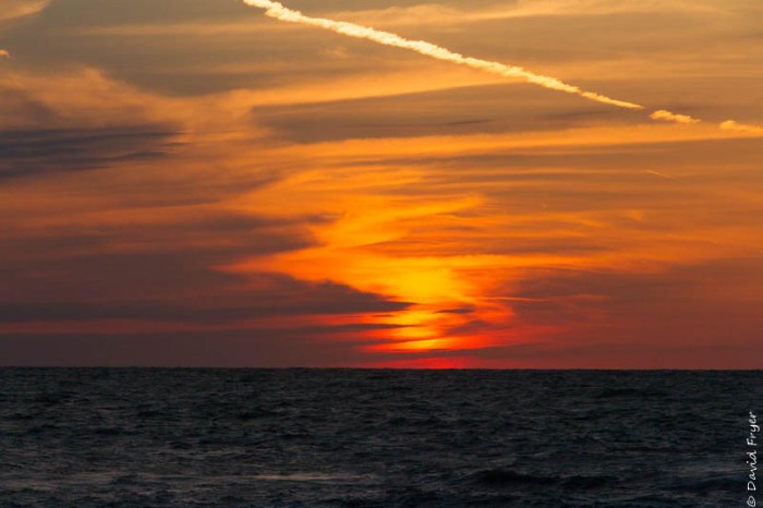 Venice FL March 2019-120