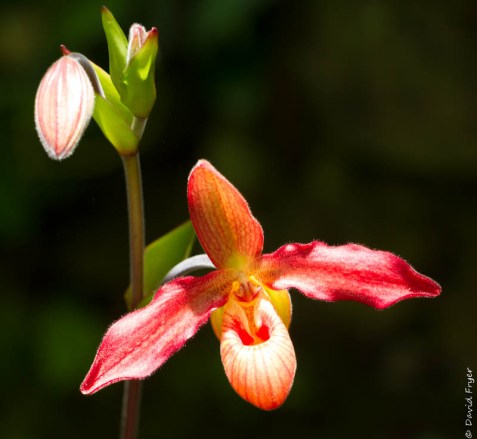 Venice FL March 2019-153