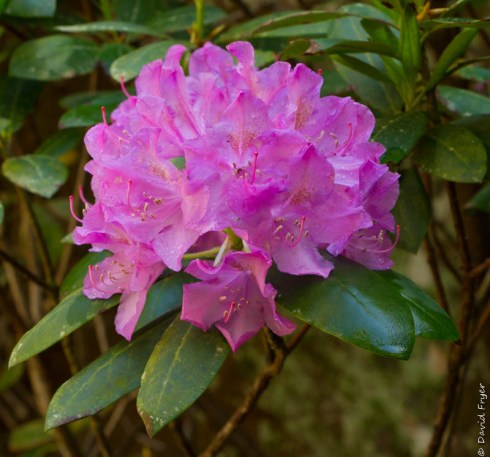 Chattanooga TN May 2019-733