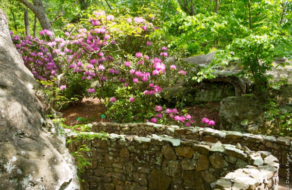 Chattanooga TN May 2019-749