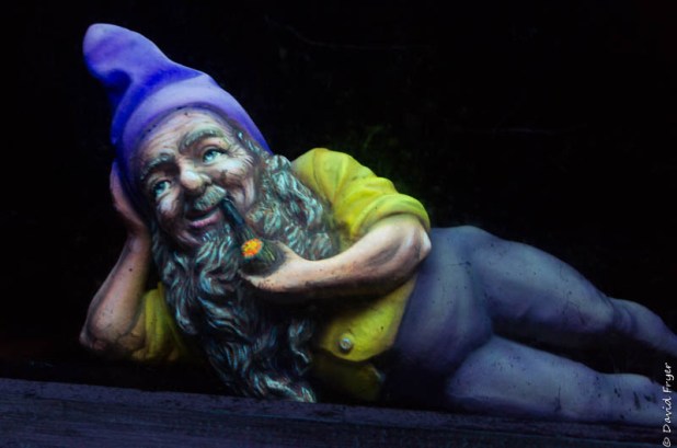 Chattanooga TN May 2019-817