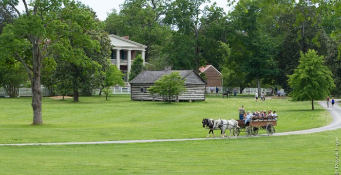 Nashville TN May 2019-81