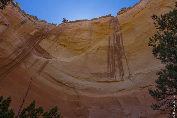 Abiquiu NM June 2019-183