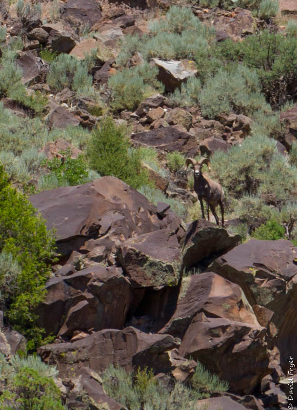 Taos NM June 2019-32-2
