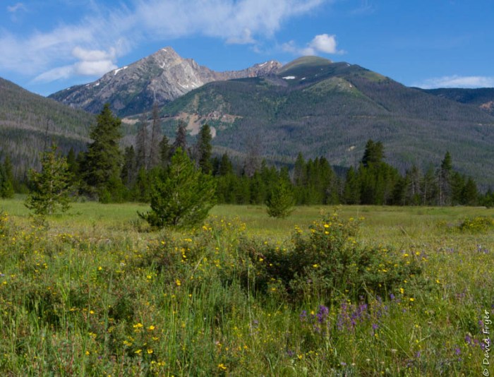 Grand Lake CO July 2019-37