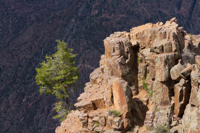 Montrose CO August 2019-184