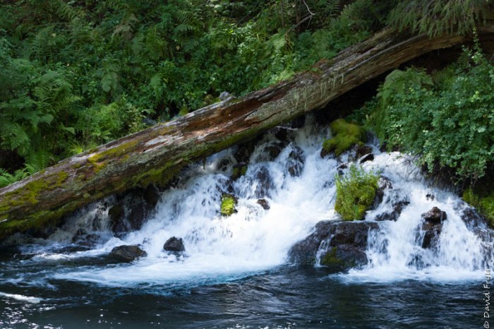 Bend OR August 2019-132