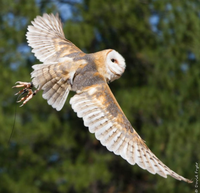 Bend OR August 2019-14