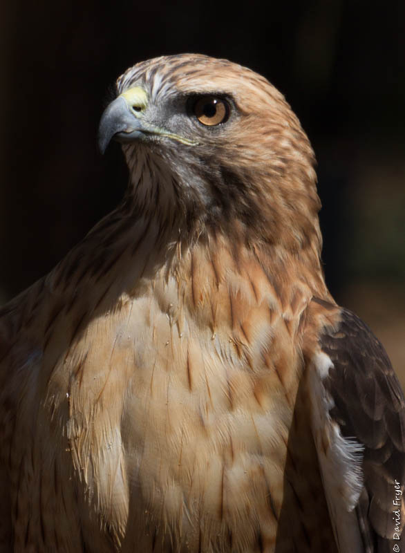 Bend OR August 2019-53