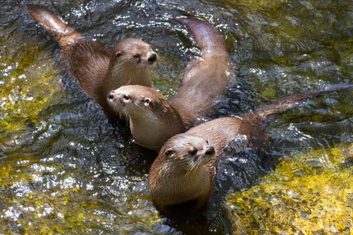 Bend OR August 2019-83