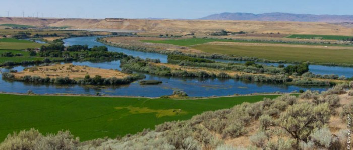 Glenns Ferry ID August 2019-33