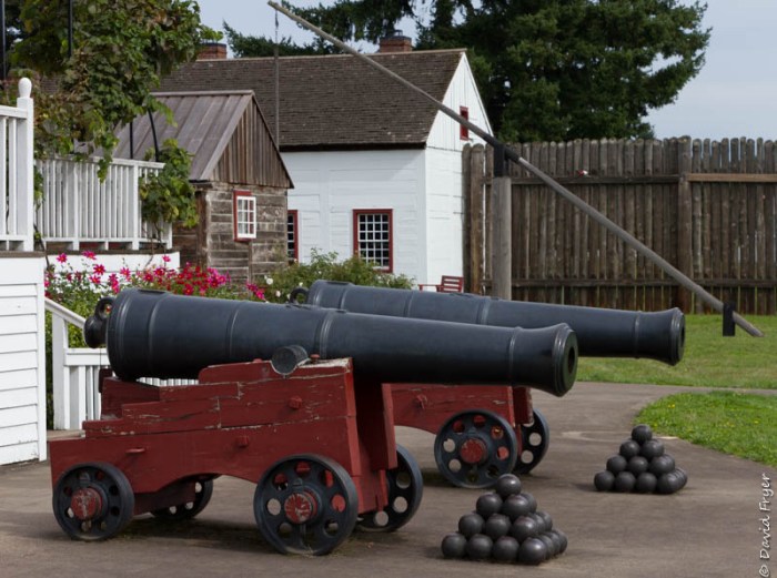 Portland OR 2019-234