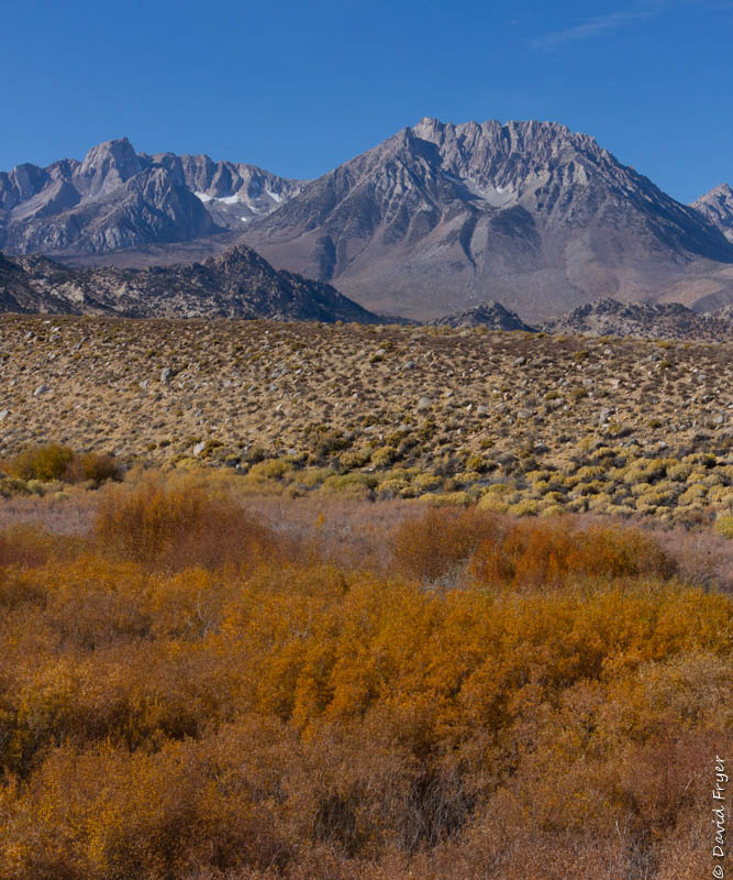 Bishop CA November 2019-158