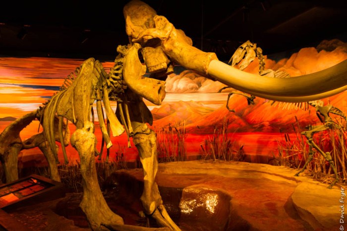 Carson City NV November 2019-297