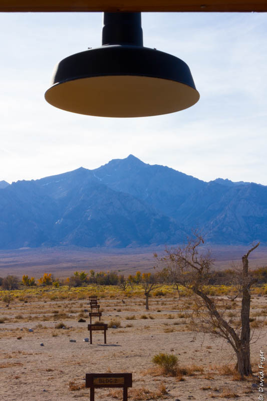 Hawthrone NV November 2019-271