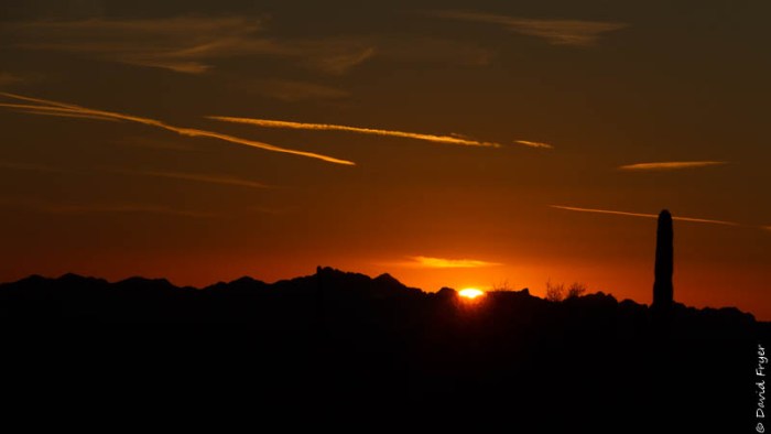 Kofa NWR February 2020-103