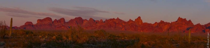 Kofa NWR February 2020-97