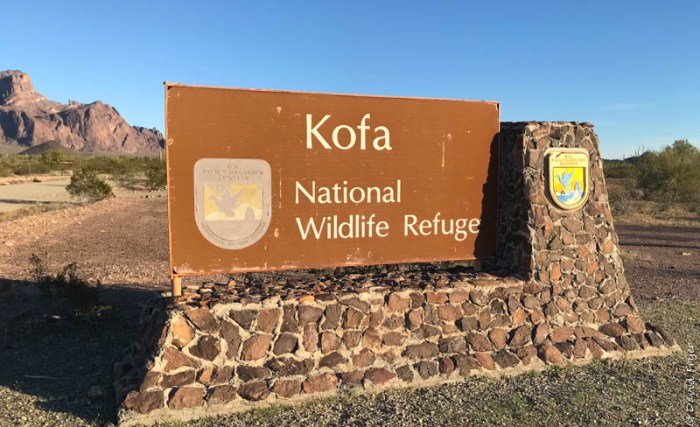 Kofa NWR Yuma AZ-1