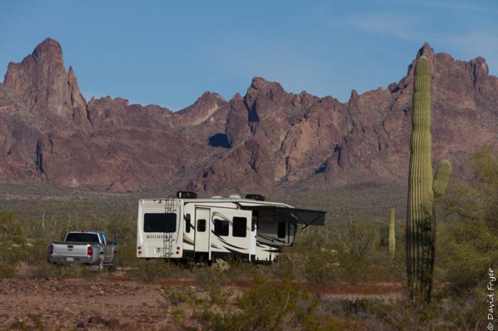 Kofa NWR Yuma February 2020-42