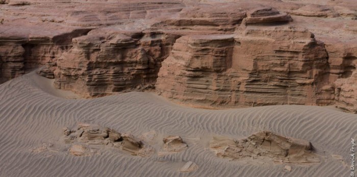 Ogilby Road Winterhaven CA February 2020-94